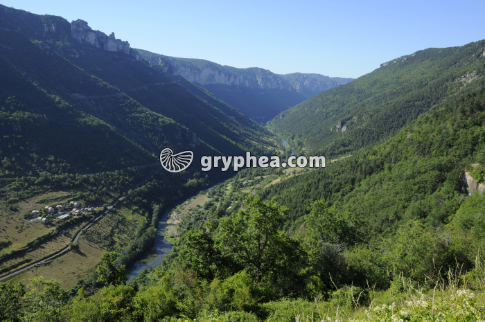 Vallée en V (Tarn) - gryphea.org